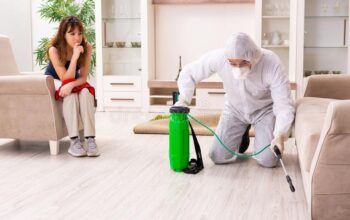 Advantages of the Pest Removal Service in Toronto and Its Characteristics