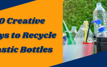 Ways to Recycle Plastic Bottles