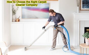 How to Choose the Right Carpet Cleaner Company