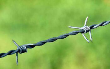 How to use wire fencing to secure your garden