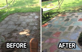 10 Unbelievable Before and After Photos of Pressure Washing Transformations