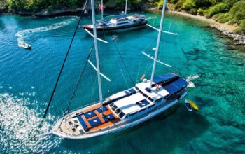 Reasons Why You Need To Hire Sailing Tour Services