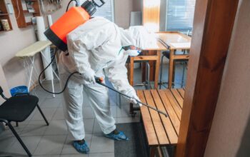 5 Benefits of Pest Control and Why You Can’t Ignore This