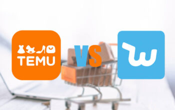 Temu vs Wish: Exploring Two Giants in Online Shopping