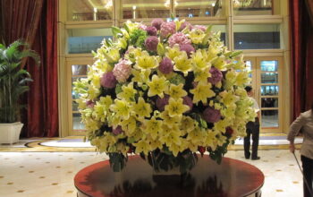 Best Floral Arrangements in Miami, FL: A Blooming Guide to Cerezos Flowers