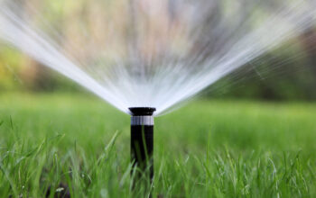 Best Irrigation Services