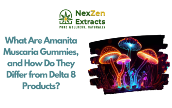 What Are Amanita Muscaria Gummies, and How Do They Differ from Delta 8 Products?