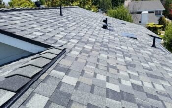 Reliable Asphalt Shingles Roof Repair Services in Virginia Beach VA Your Ultimate Guide to Protecting Your Home